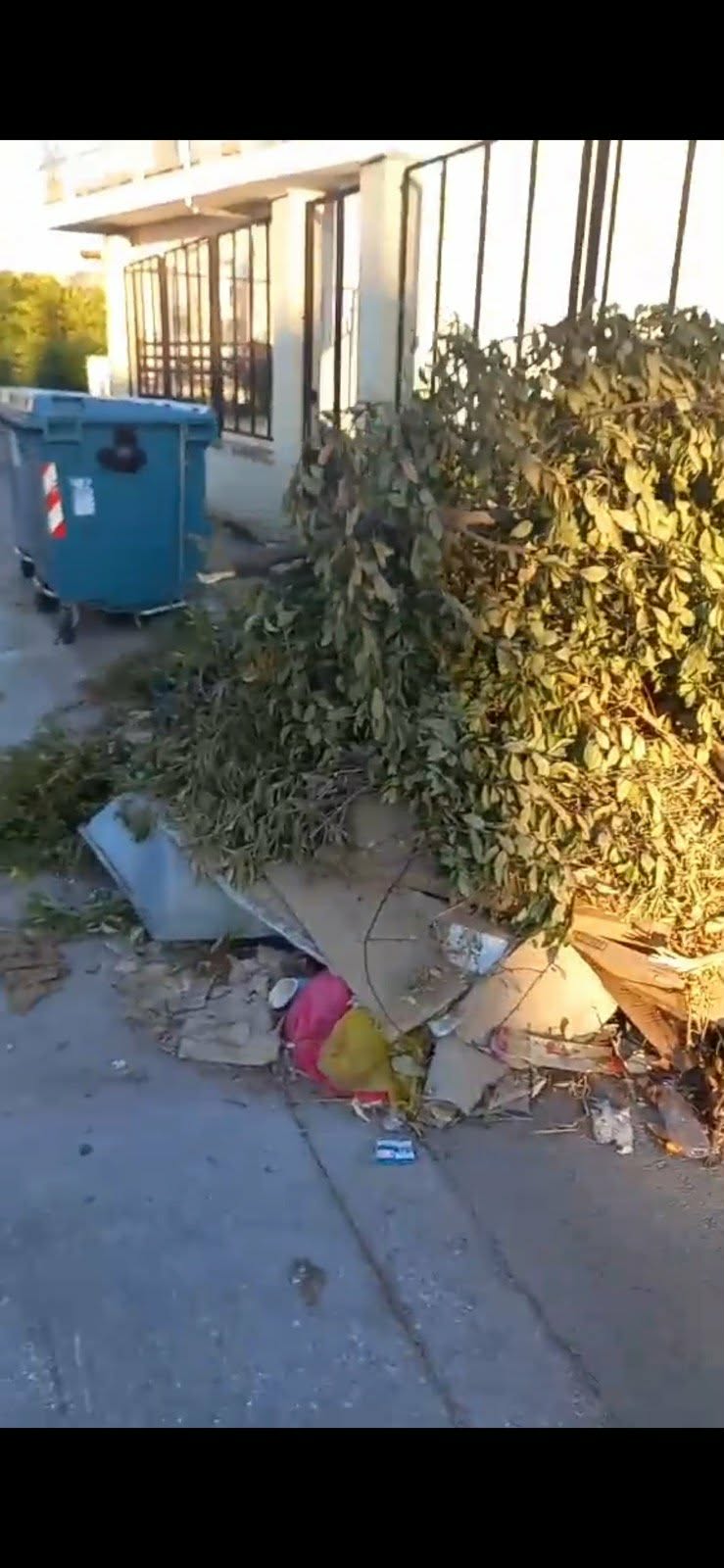 Αλμυρός: Νέα ανεξέλεγκτη απόρριψη κλαδιών και ογκωδών αντικειμένων — φωτογραφία 2