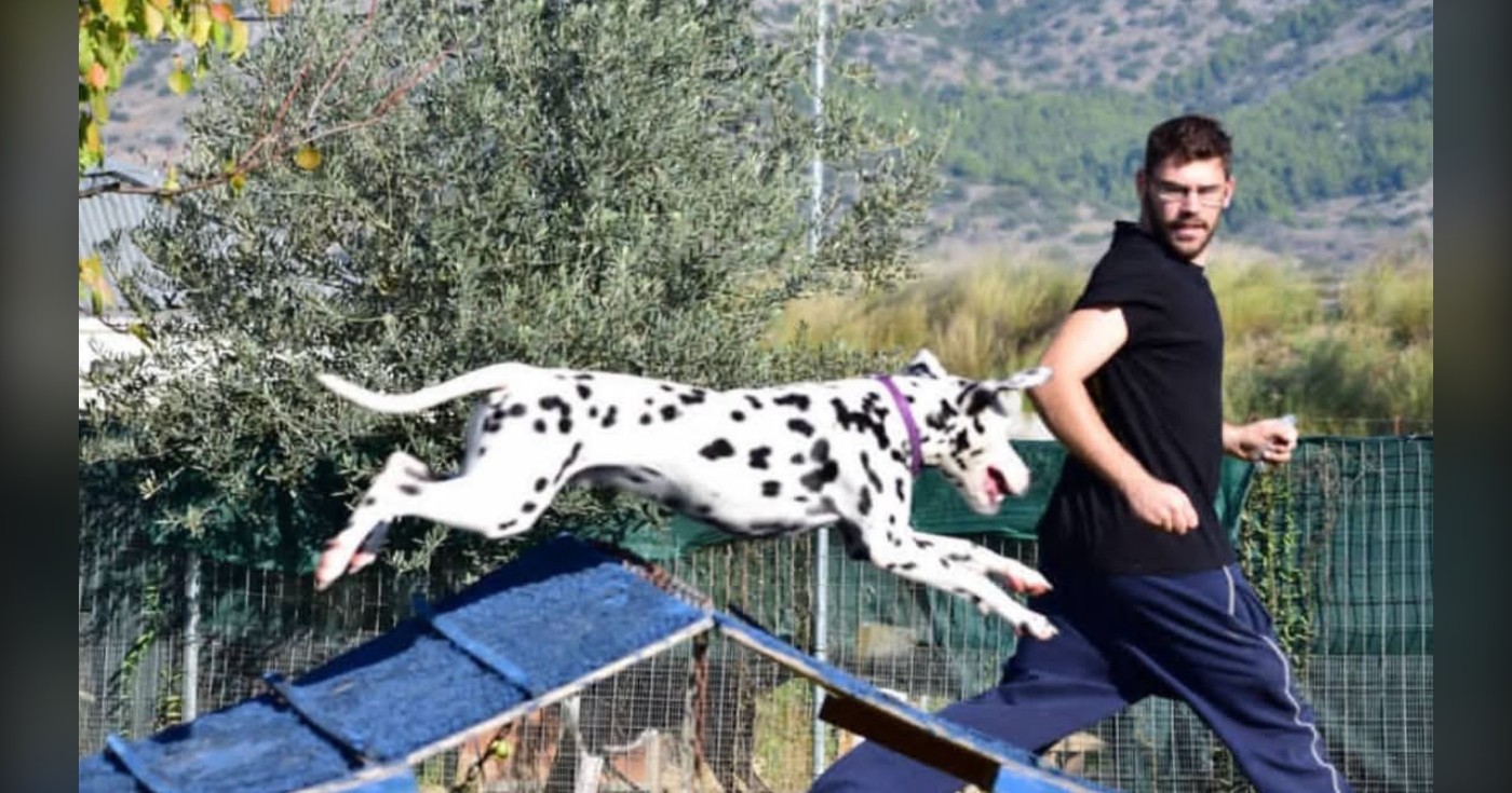 Volos Action Dog: Η ομάδα που σου μαθαίνει πώς σκέφτεται πραγματικά ένας σκύλος