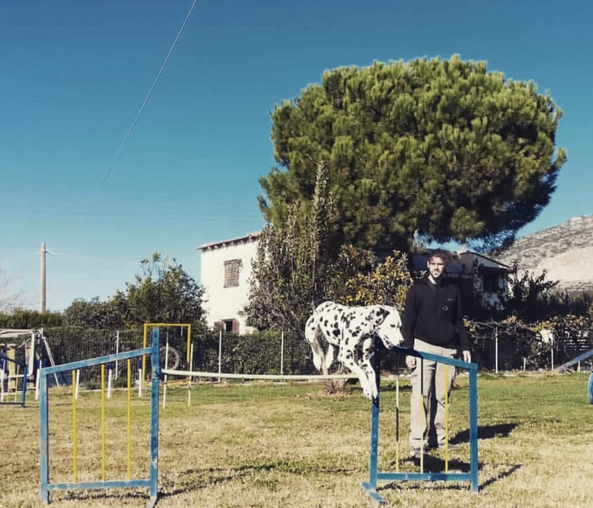 Στιγμιότυπο οθόνης 2026 10 01, 11.30.20 πμ