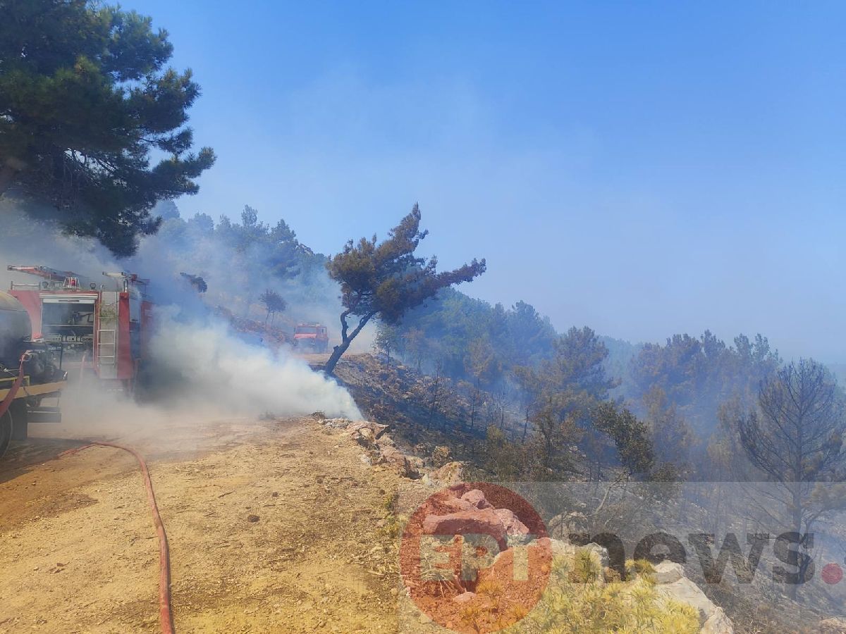 Χίος: Προθεσμία στον κατηγορούμενο για τη φωτιά στο Βίκι
