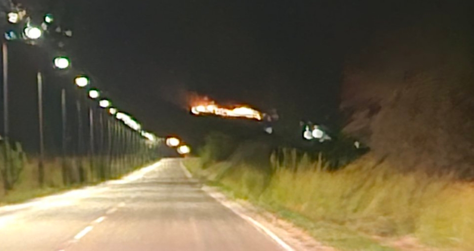 Δασική πυρκαγιά στη Λοξάδα, άμεση επέμβαση ισχυρής πυροσβεστικής δύναμης