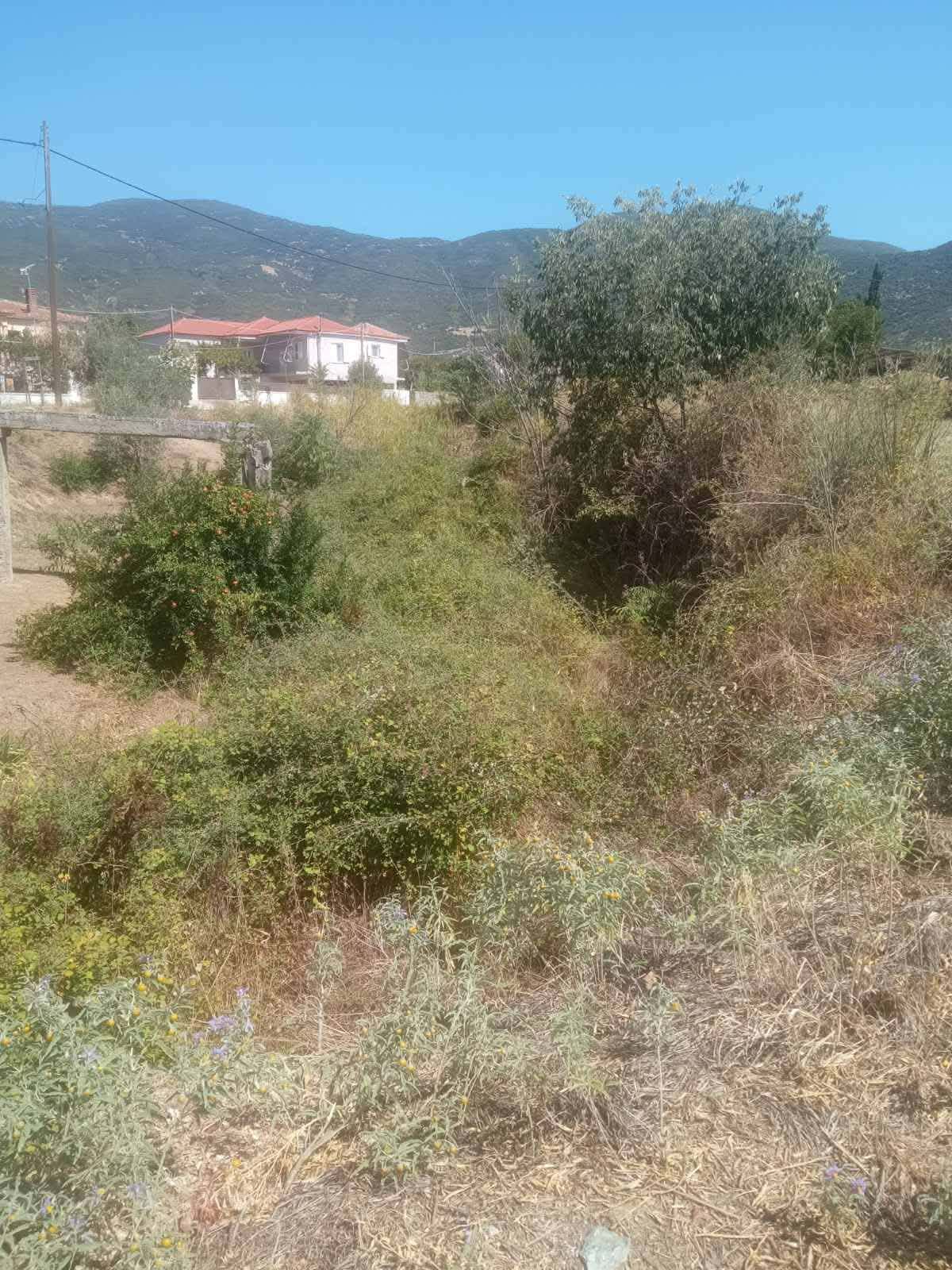 Μ. Παπακανάκη για ρέματα στους Γόννους: Χρόνια εγκατάλειψη από την Περιφέρεια Θεσσαλίας