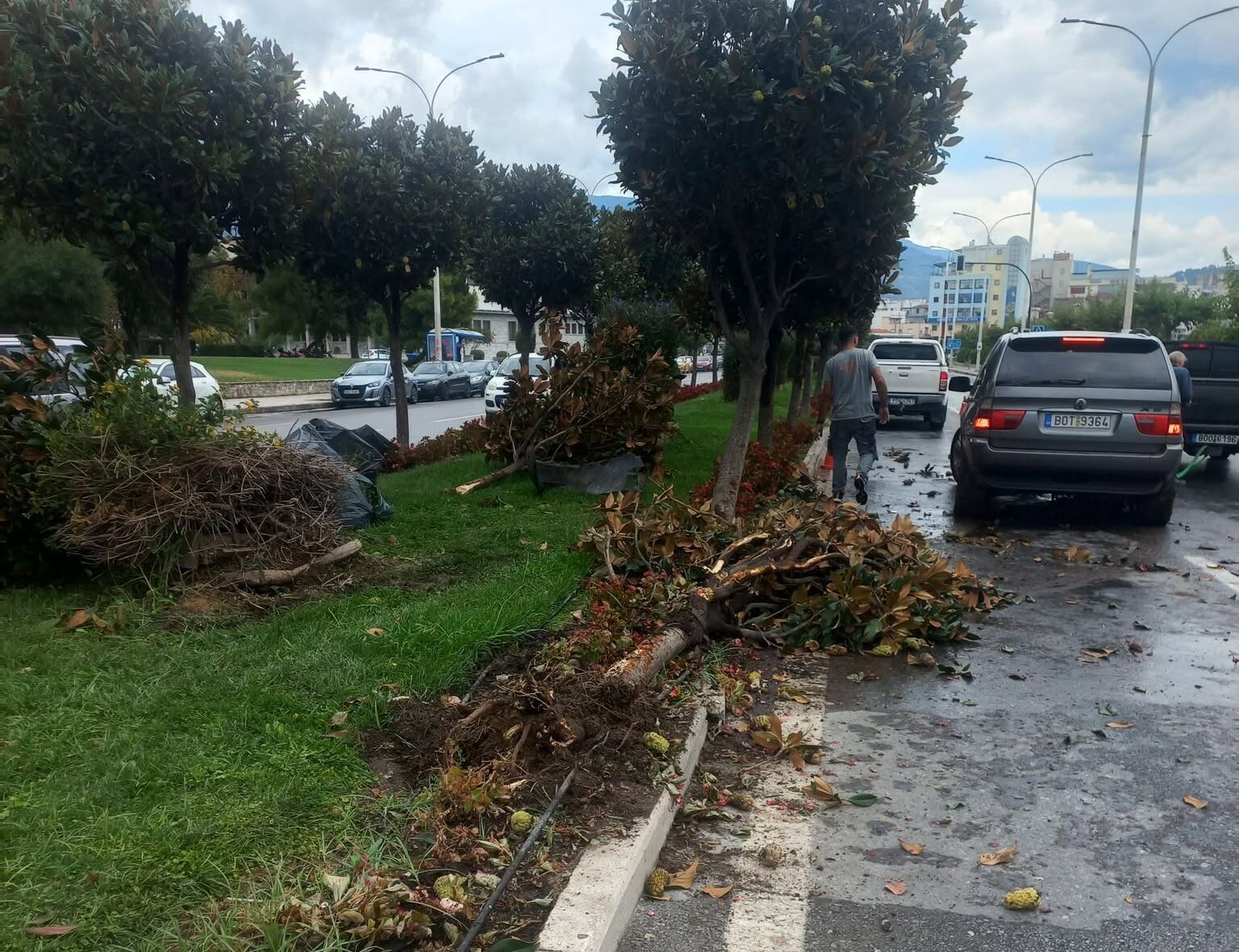 Τροχαίο στο κέντρο του Βόλου: ΙΧ «καρφώθηκε» σε δέντρο μπροστά από το Δημαρχείο