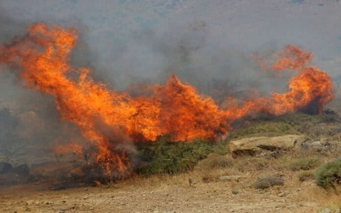 Φωτιά σε δασική έκταση στην περιοχή Κωφοί Αλμυρού- Επιχειρούν τρία αεροπλάνα και ένα ελικόπτερο