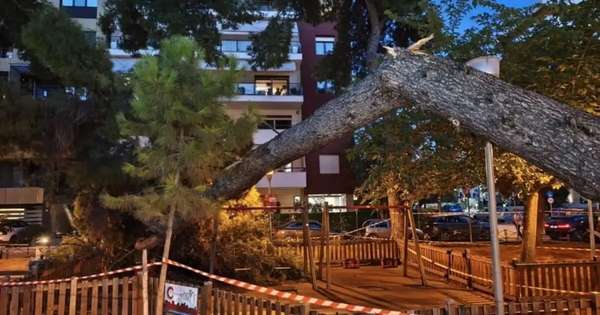 Θεσσαλονίκη: Δέντρο έπεσε και τραυμάτισε μητέρα και τον 17 μηνών γιο της σε παιδική χαρά στην Καλαμαριά