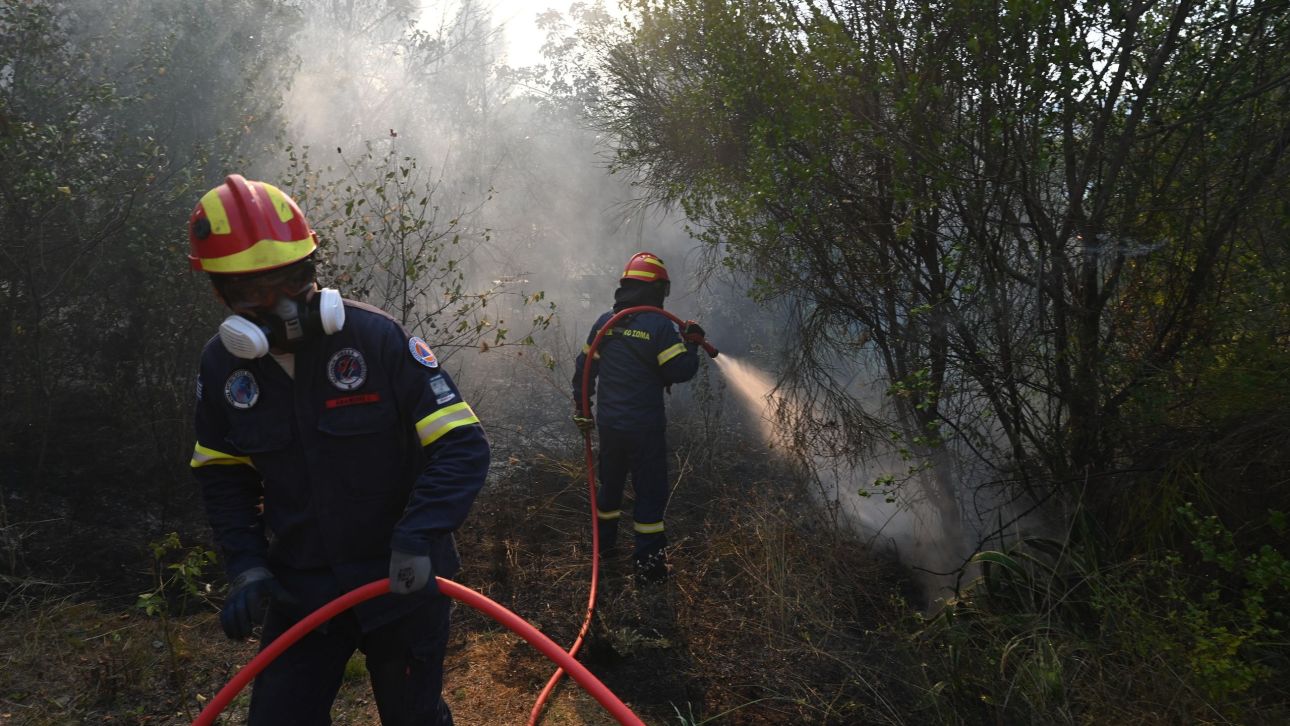 Συναγερμός για πυρκαγιά στην Κάρυστο Εύβοιας - Ήχησε το 112 για ετοιμότητα
