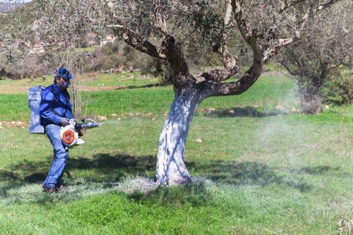 Μερικός δολωματικός ψεκασμός στους δήμους Τεμπών, Αγιάς, Τυρνάβου