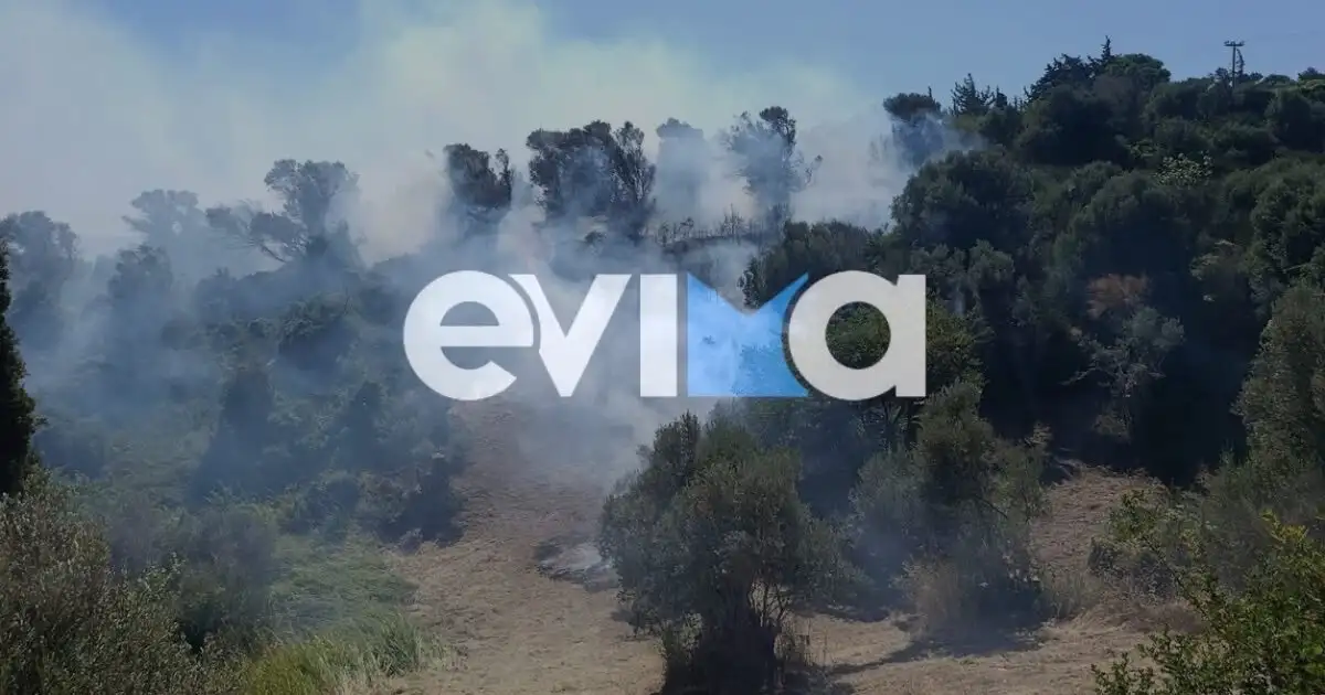Φωτιά στην Κύμη Ευβοίας: Ισχυρές δυνάμεις στη μάχη με τις φλόγες