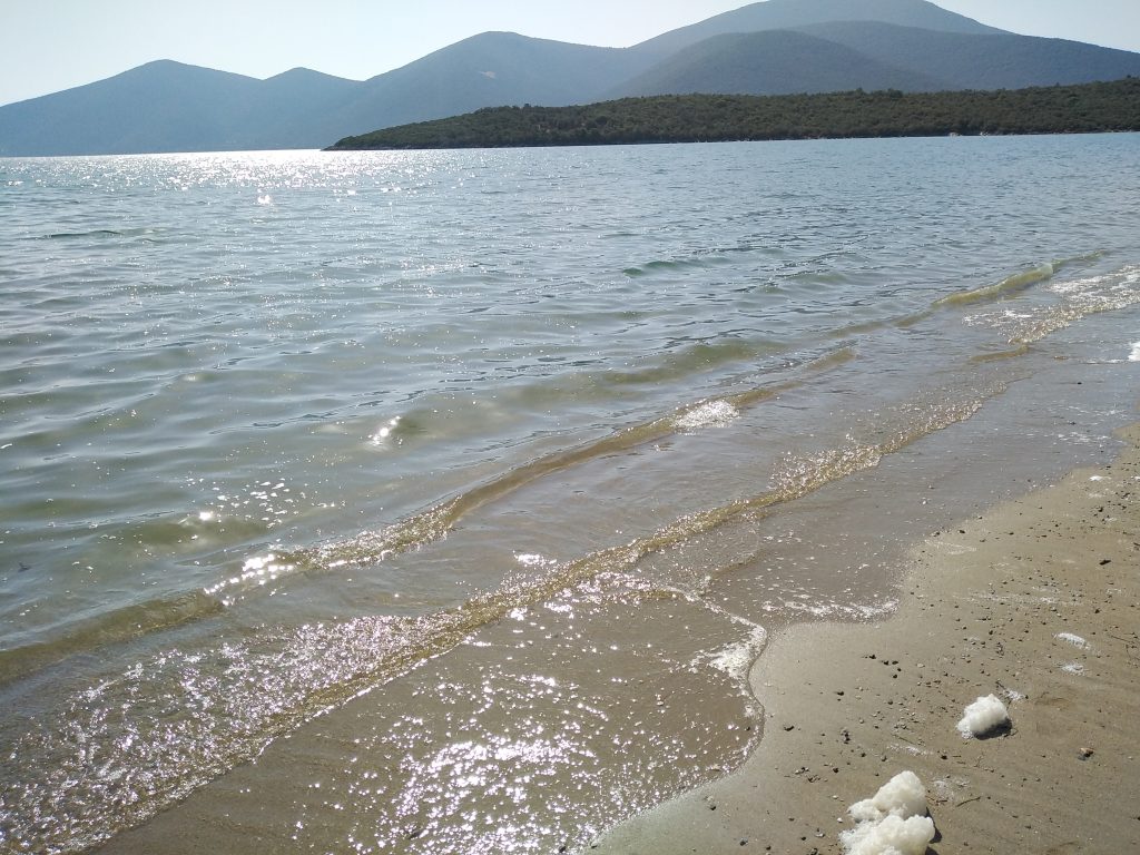 Πτελεός–Αχίλλειο: Κάτοικοι ζητούν έλεγχο για επαναλαμβανόμενο φαινόμενο θαλάσσιας ρύπανσης