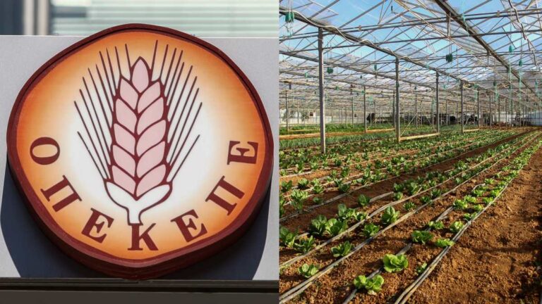 ΟΠΕΚΕΠΕ: Την ενοχή και των 22 κατηγορουμένων πρότεινε ο Ευρωπαίος Εισαγγελέας Διονύσης Μουζάκης