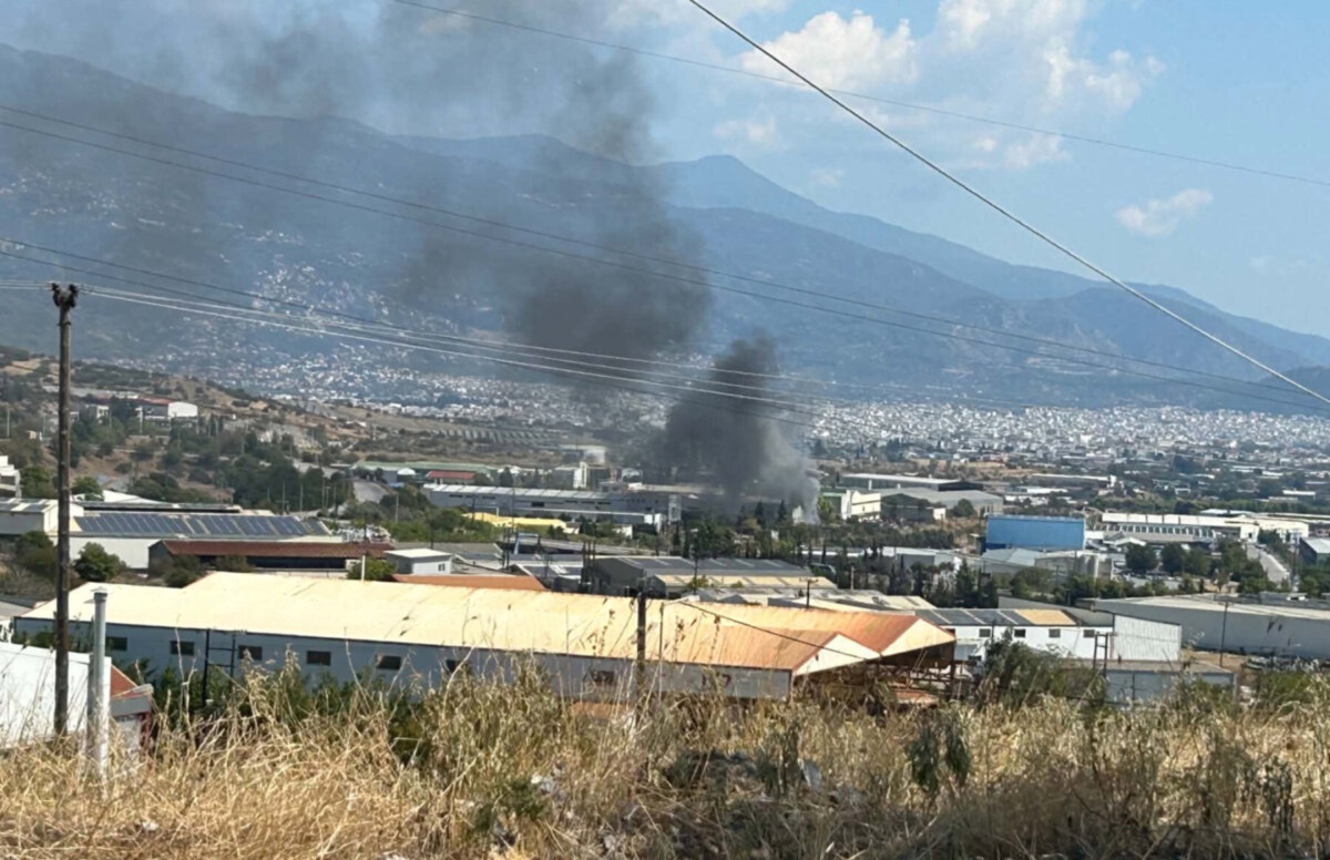 Φωτιά σε πλαστικά και καουτσούκ σε εργοστάσιο στην Α’ ΒΙΠΕ Βόλου – Άμεση κινητοποίηση της Πυροσβεστικής