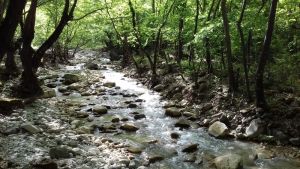 Κ. Τέλιος: Αντιπλημμυρική ασπίδα τα έργα ορεινής υδρονομίας που καθυστερούν στο ν. Καρδίτσας