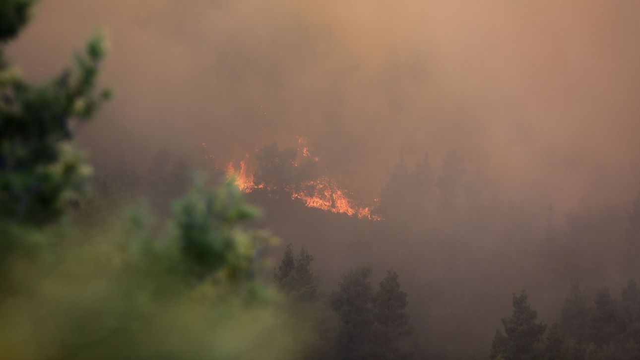 Δύσκολη νύχτα για την πυρκαγιά στην Κόνιτσα - Αναζωπυρώσεις λόγω των ανέμων