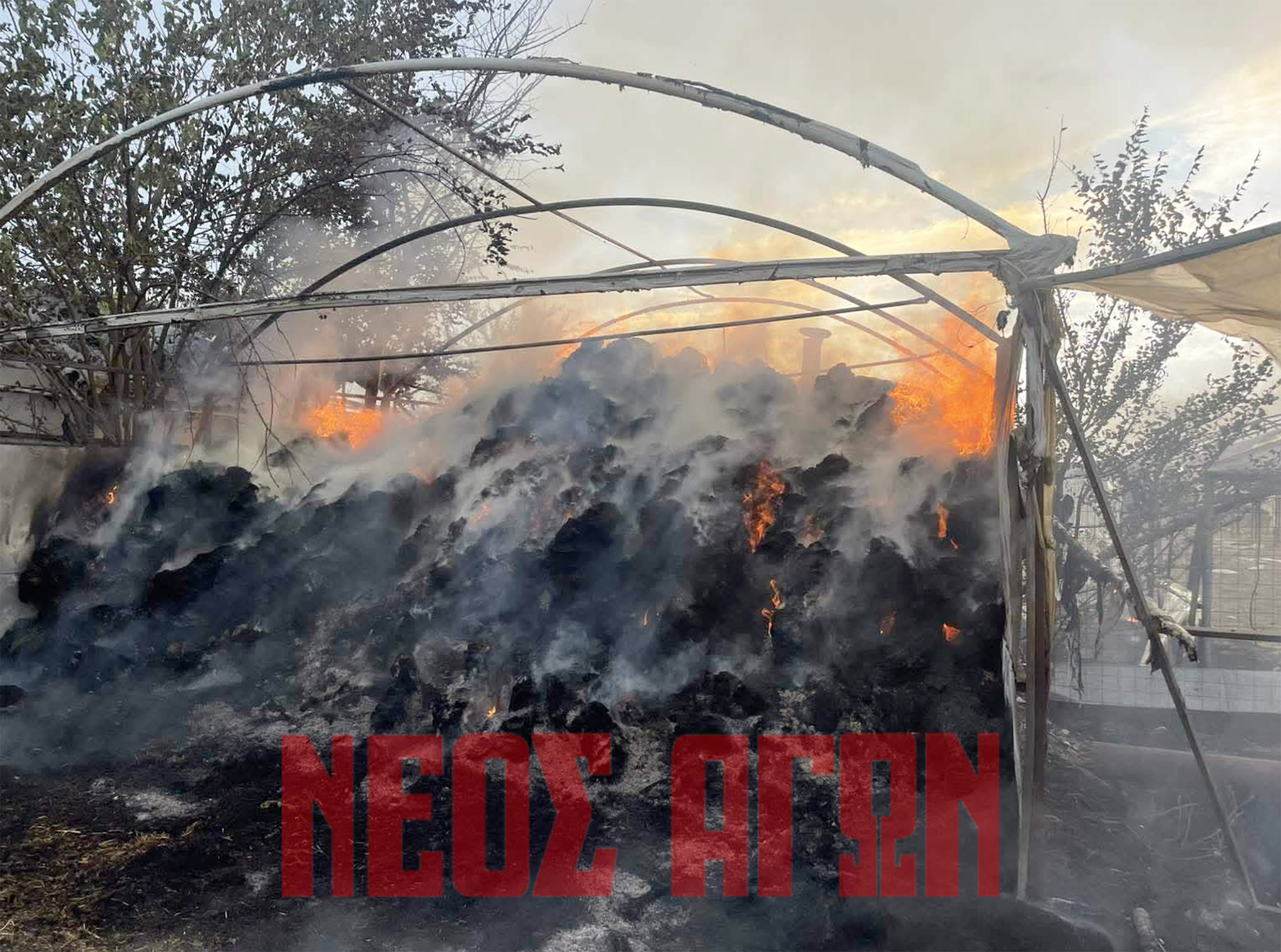 Στις φλόγες κτηνοτροφική μονάδα στο Προάστιο- έσπευσε η Πυροσβεστική (ΦΩΤΟ)