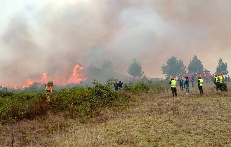 Δώδεκα νεκροί και εκατοντάδες άστεγοι από τις δασικές πυρκαγιές στο Περού