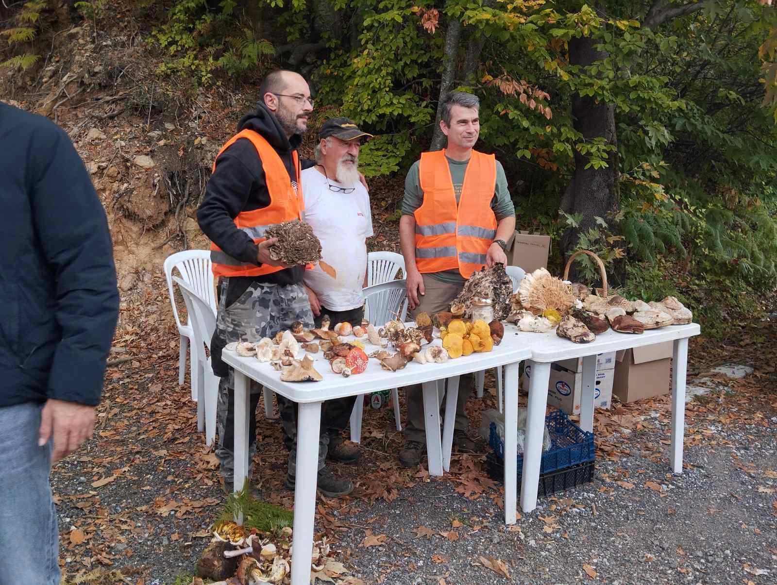 Γιορτή μανιταριών στη Μακρυρράχη Πήλίου με όμορφες διαδρομές (εικόνες)